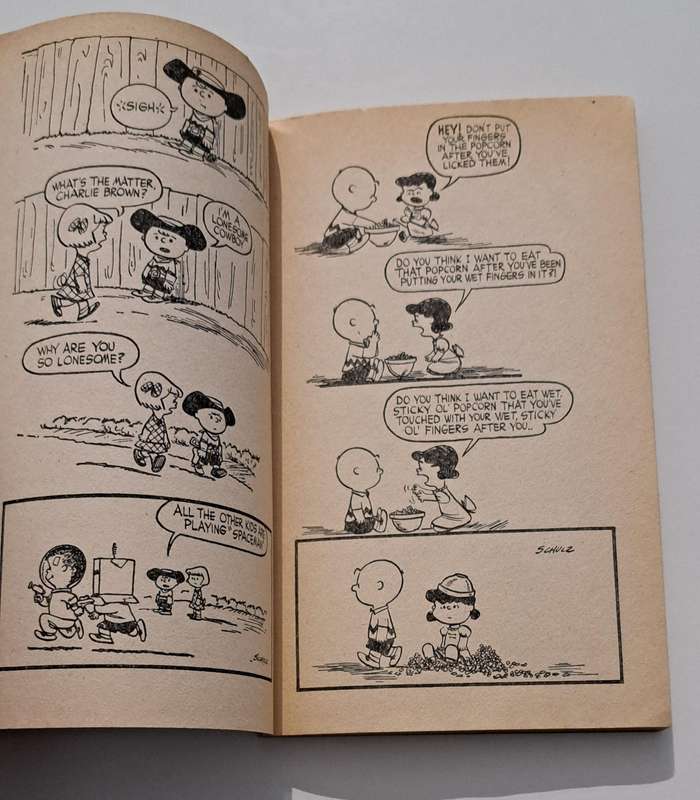 Hey Peanuts By Charles M Schulz 1973 cartoon comic book strip old vintage rare Charlie Brown