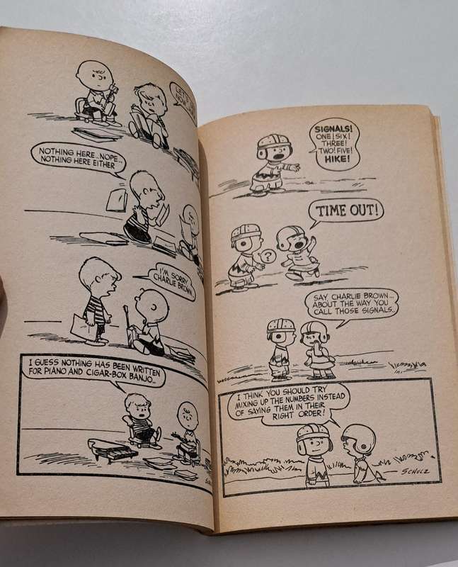 Hey Peanuts By Charles M Schulz 1973 cartoon comic book strip old vintage rare Charlie Brown