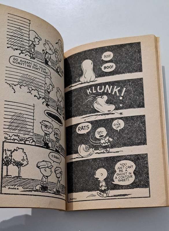 Hey Peanuts By Charles M Schulz 1973 cartoon comic book strip old vintage rare Charlie Brown