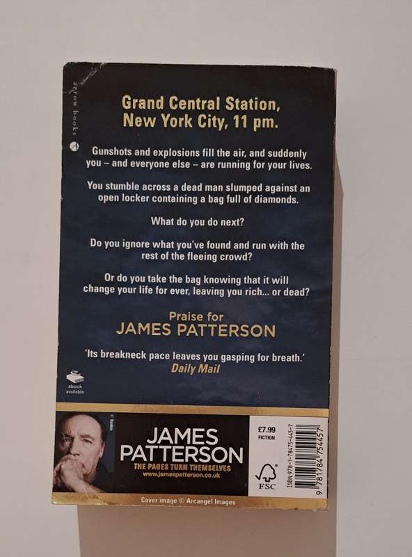 Kill Me If You Can James Patterson crime mystery thriller suspense fiction romance love
