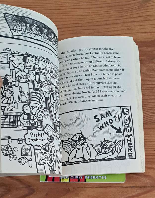 2x middle Schools books by James Patterson graphic novel same as dork diaries diary of a wimpy kid