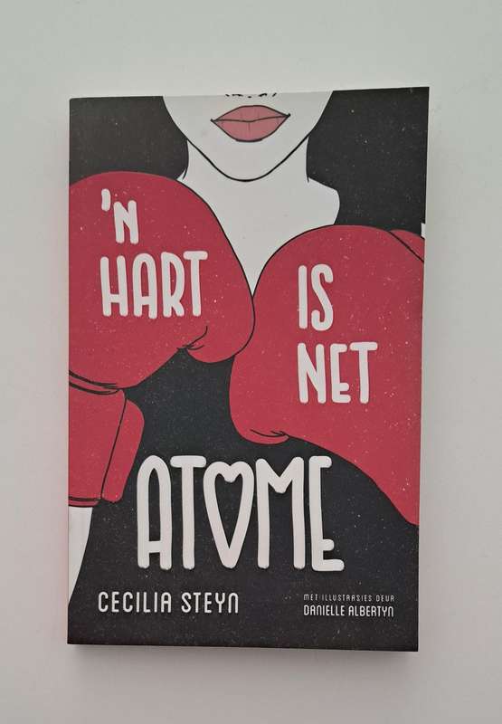 n Hart is net atome By Cecilia Steyn (Afrikaans) graphic novel comic fantasy romance love Chinese