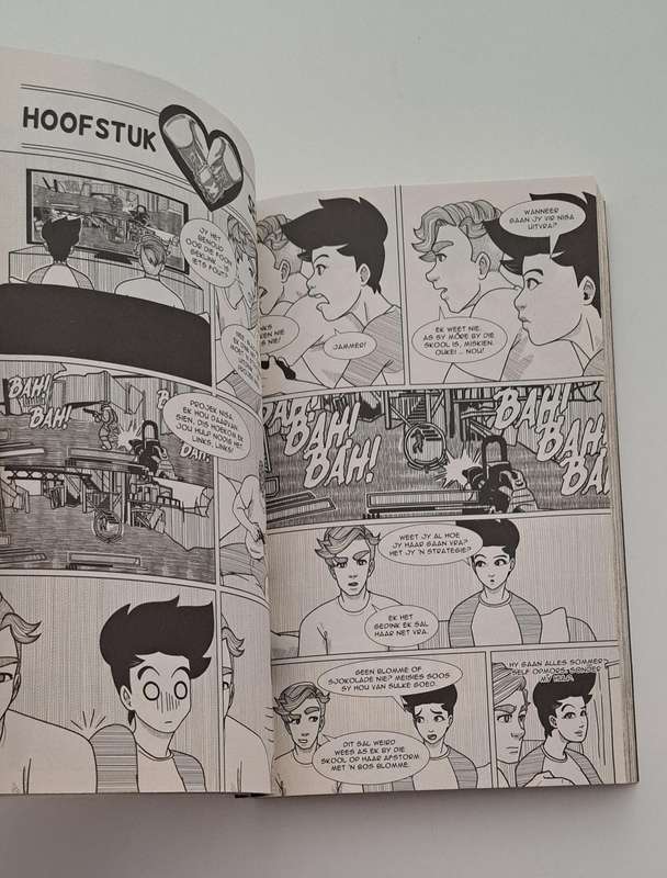 n Hart is net atome By Cecilia Steyn (Afrikaans) graphic novel comic fantasy romance love Chinese