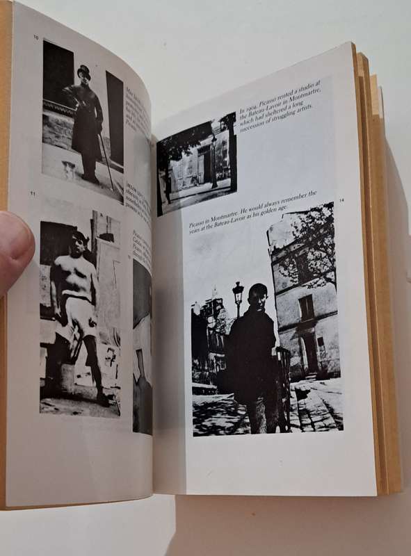 Picasso Creater & Destroyer Arianna Strassinopoulos Huffington art history biography memoir France