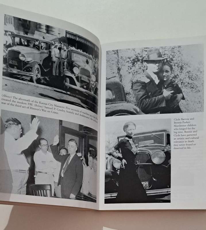 Public Enemies By Bryan Burrough true crime FBI biography history film movie mystery law entertainme