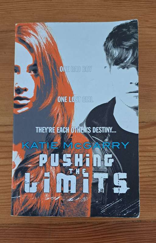 Pushing The Limits Katie McGarry romance high school teen love realistic fiction young adult