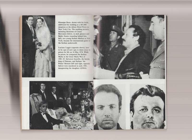 The Mafia: The Long Reach of the International Sicilian Mafia Claire Sterling true crime