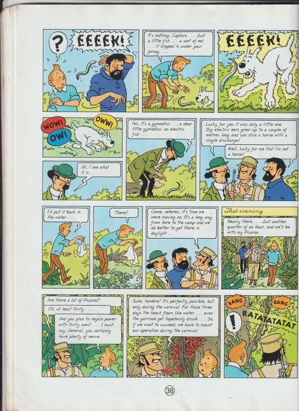 The Adventures Of Tintin And The Picaros By Herge (2002) cartoon comic book collectable