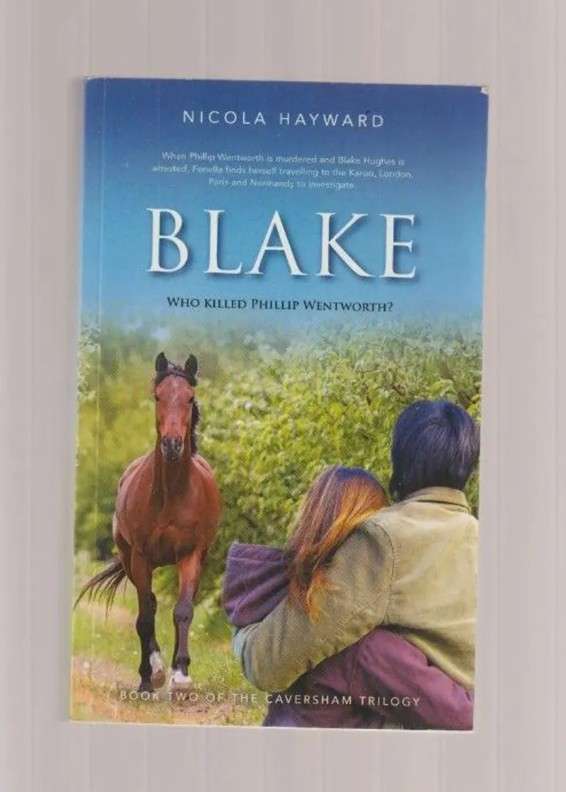 Blake By Nicola Hayward book crime murder thriller fiction love romance investigation chic teen lit