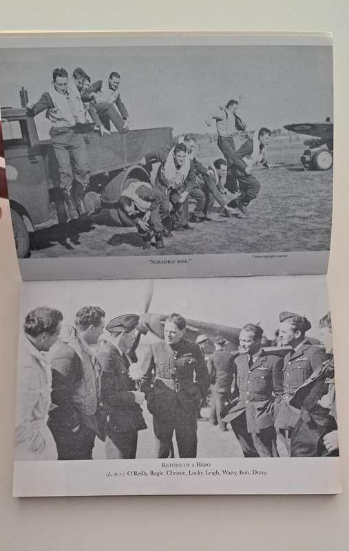 Ten Fighter Boys by Jimmy Corbin war military history ww2 world war 2 pilots aircraft true stories