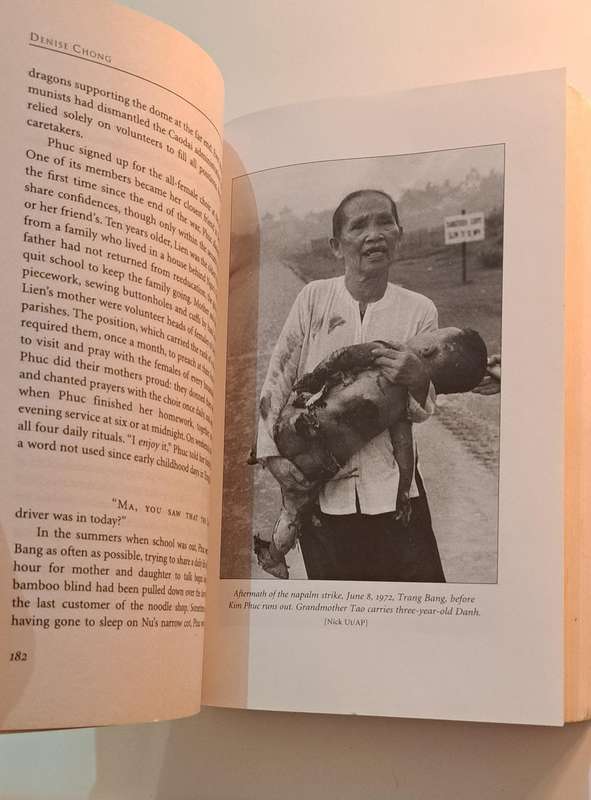 The Girl In The Picture Denise Chong The Remarkable Story Of Vietnam's Most Famous Casualty true war
