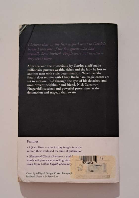 The Great Gatsby E Scott Fitzgerald classic chic lit fiction school romance love novel historical Am