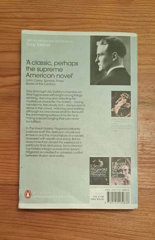The Great Gatsby E Scott Fitzgerald classic chic lit fiction school romance love novel historical Am
