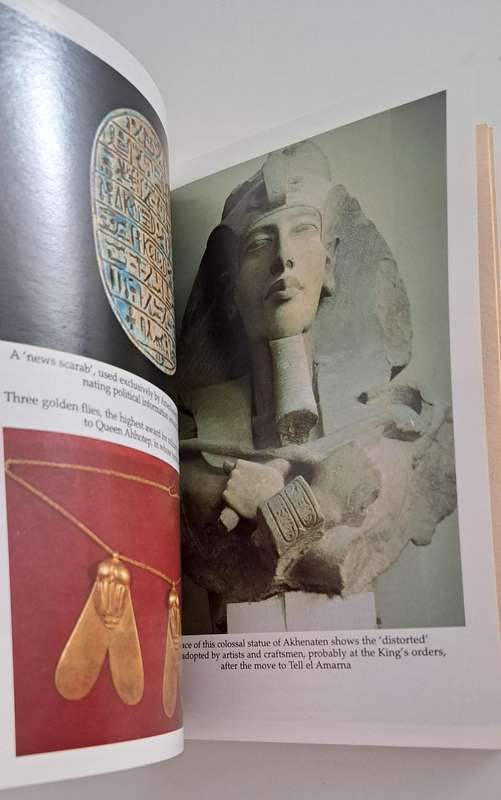 Tutankhamen The Life & Death Of A Boy King By Christine El Mahdy history Egypt biography medical