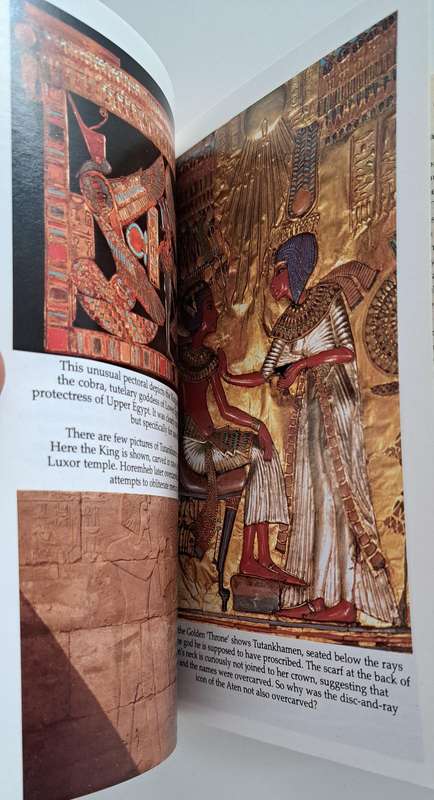 Tutankhamen The Life & Death Of A Boy King By Christine El Mahdy history Egypt biography medical
