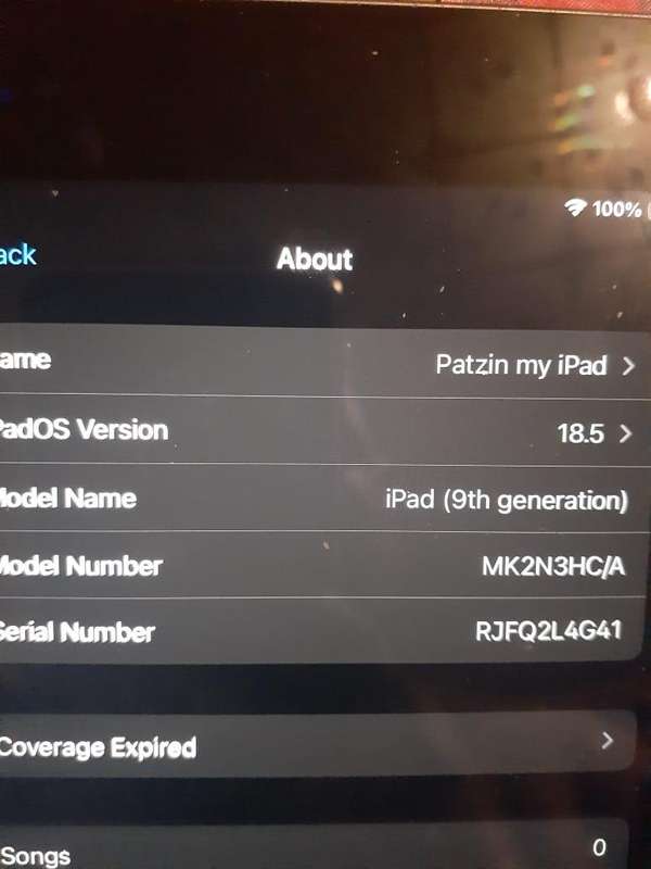 IPAD 9 9th generation  10.2" wifi  256 gig light grey  with a cover