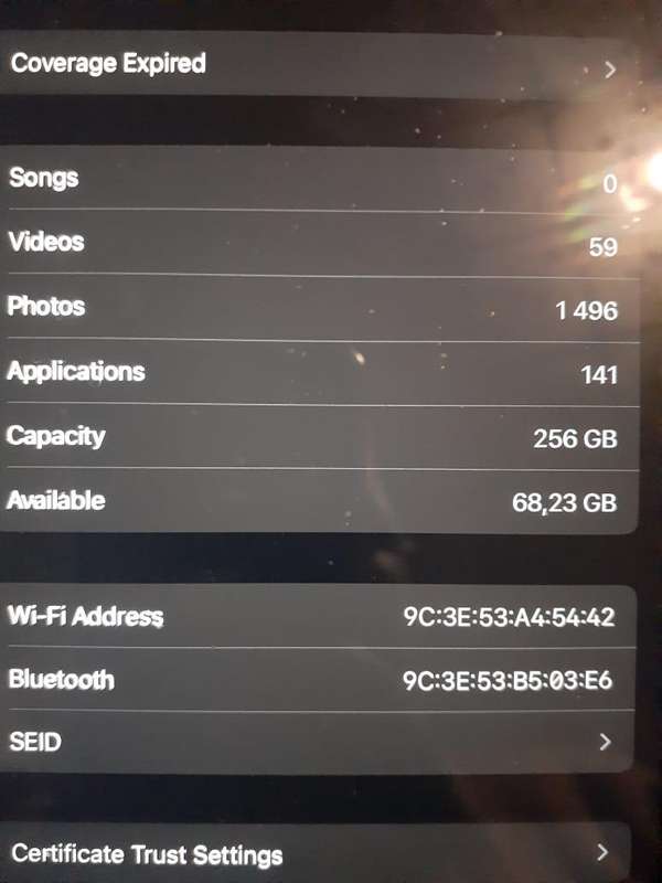 IPAD 9 9th generation  10.2" wifi  256 gig light grey  with a cover