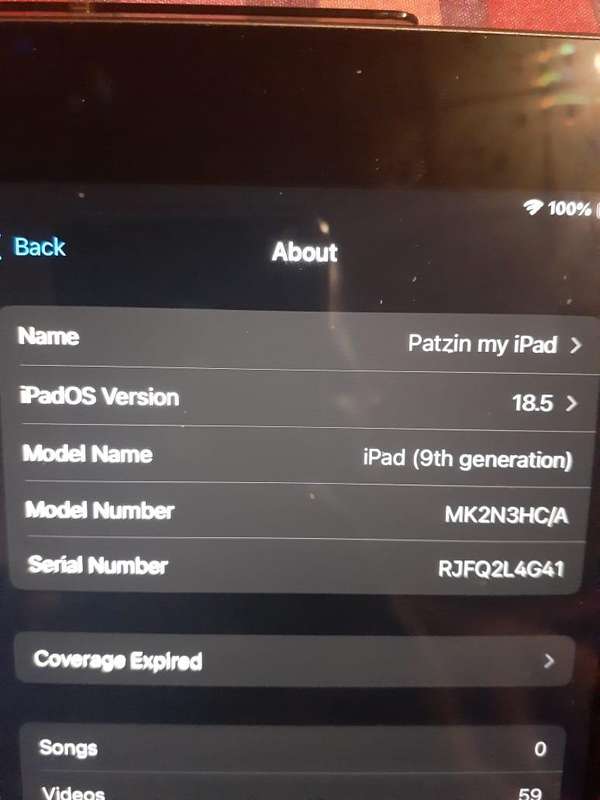 IPAD 9 9th generation  10.2" wifi  256 gig light grey  with a cover