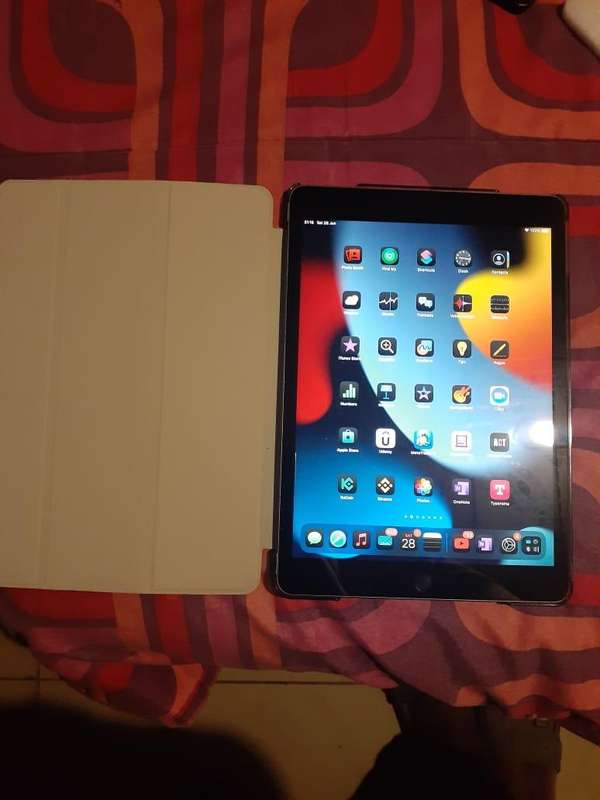 IPAD 9 9th generation  10.2" wifi  256 gig light grey  with a cover