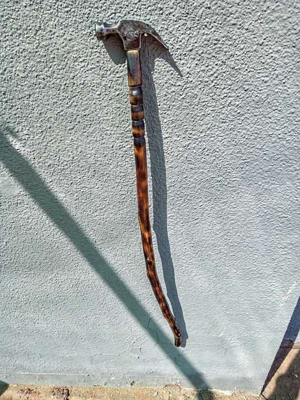 Walking sticks