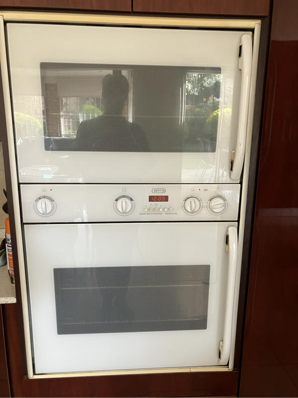 Defy Gemini Thermofan Oven