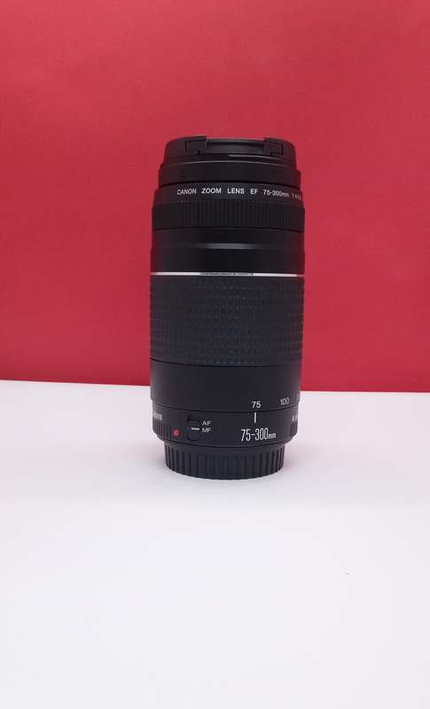 Canon EF 75-300mm Zoom lens