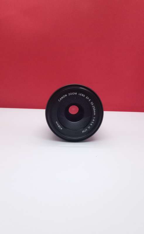 Canon EF 55-250mm STM with image stabilizer
