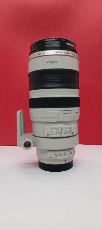 Canon EF 100-400mm f/4.5-5.6 L IS