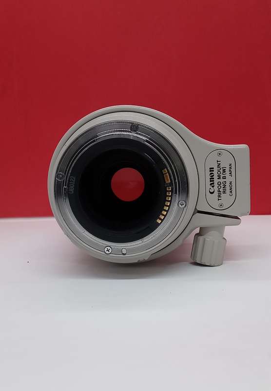 Canon EF 100-400mm f/4.5-5.6 L IS