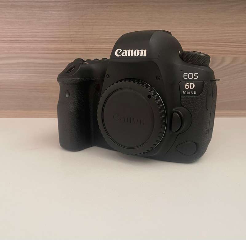 Canon 6D II full frame body