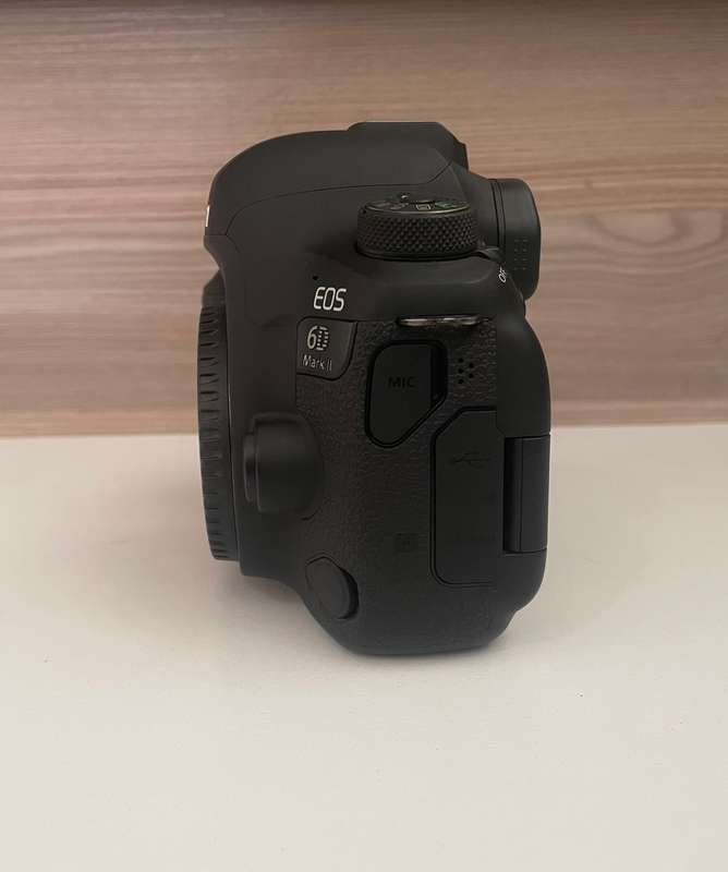 Canon 6D II full frame body