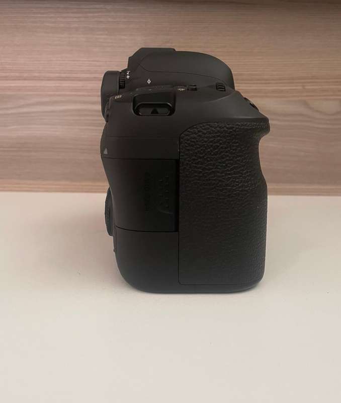 Canon 6D II full frame body