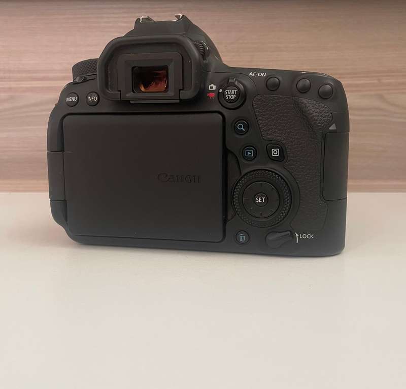 Canon 6D II full frame body