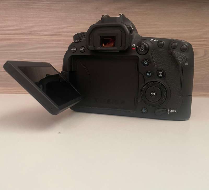 Canon 6D II full frame body