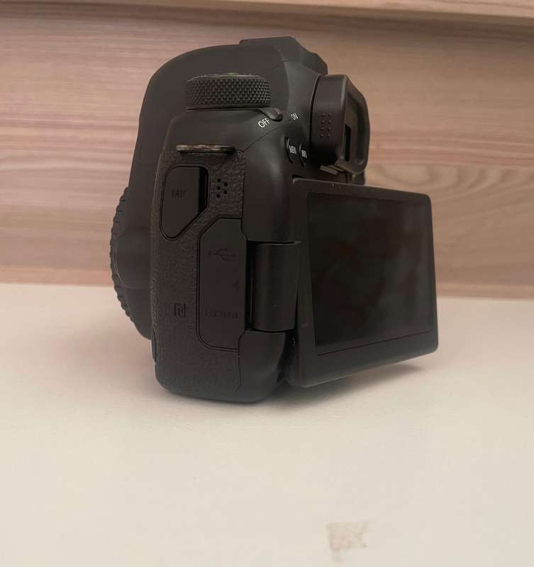 Canon 6D II full frame body
