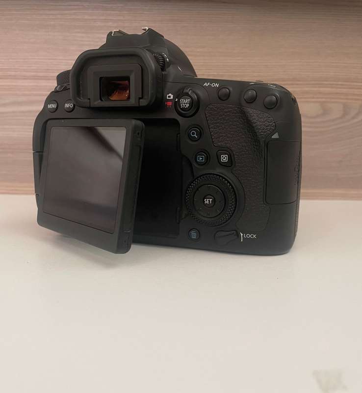 Canon 6D II full frame body