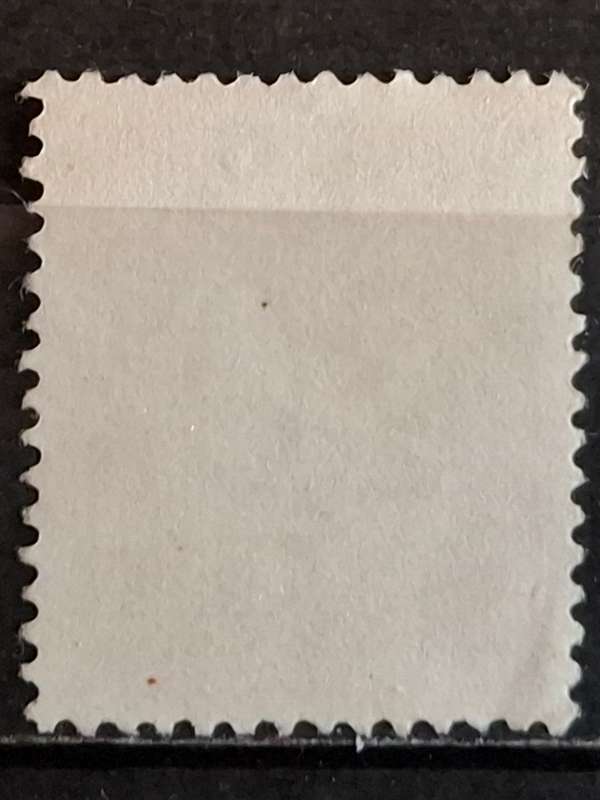 1954 - Belgium - 20 -  Unused - Overprint 1954/1955