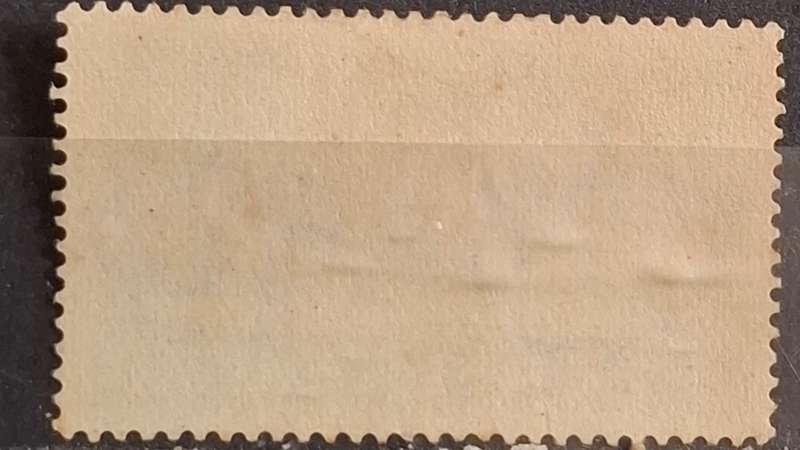 1936 - Italian Eritrea - 1L - Unused - Airmail