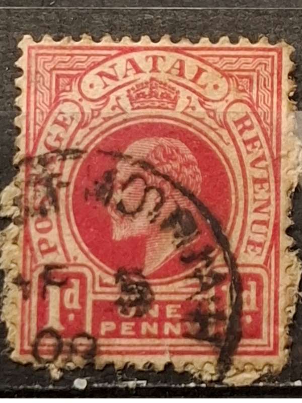 1902-1908 - Natal - 1P -  King George V