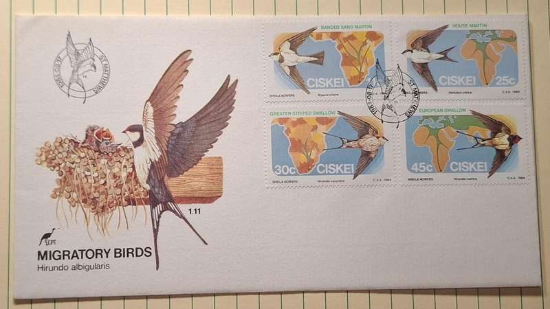 1984 - Ciskei - First Day Cover with Insert - Migratory Birds Hirundo albigularis - 1.11 -  Postmark