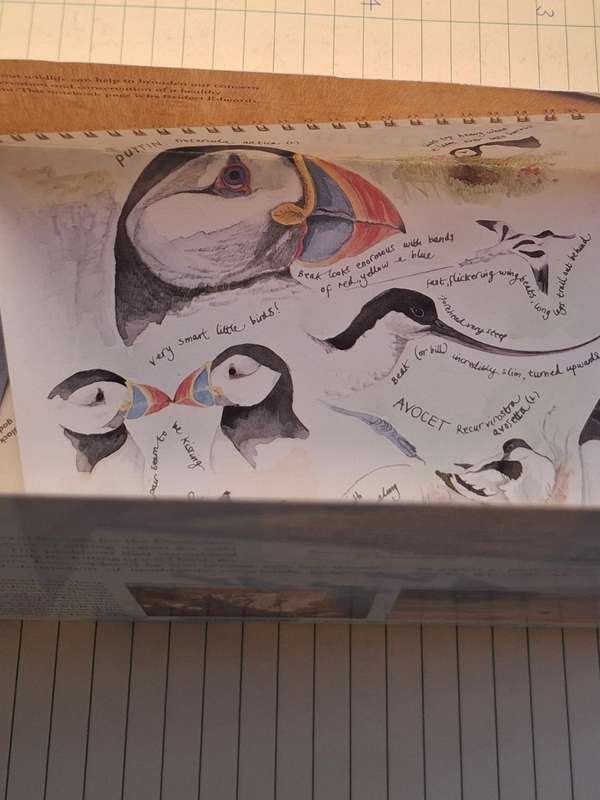 1989 - UK - Used : 19 + 27 - Birds Royal Mail Brochure with Stamps