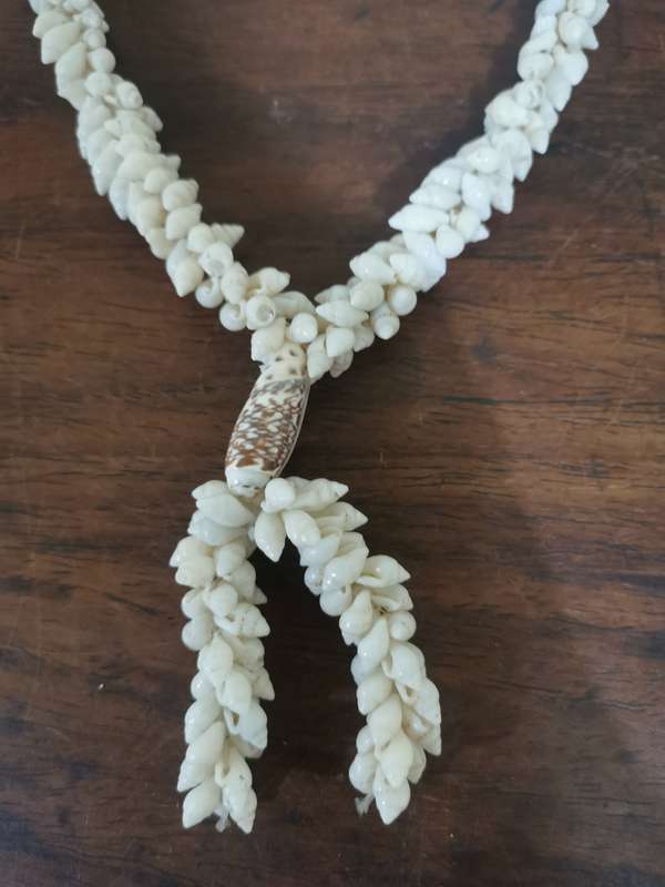 Vintage Shell Necklace - So Unique!