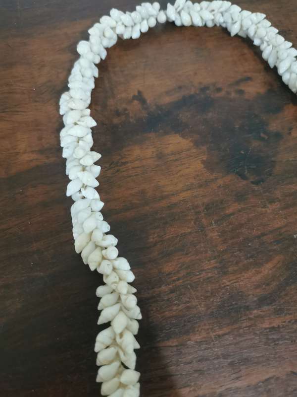 Vintage Shell Necklace - So Unique!