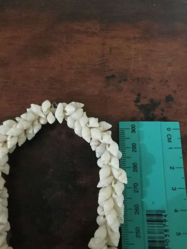 Vintage Shell Necklace - So Unique!