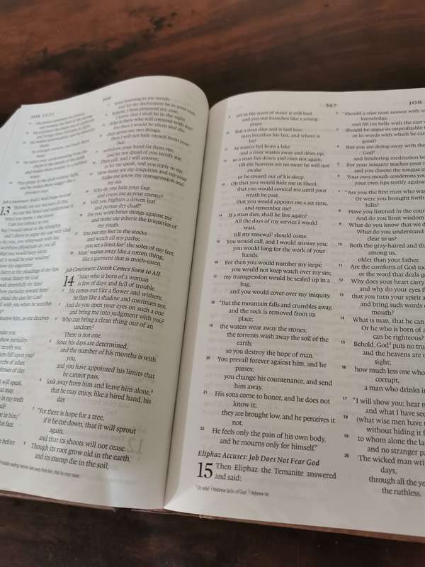 Oswald Chambers Devotional Bible