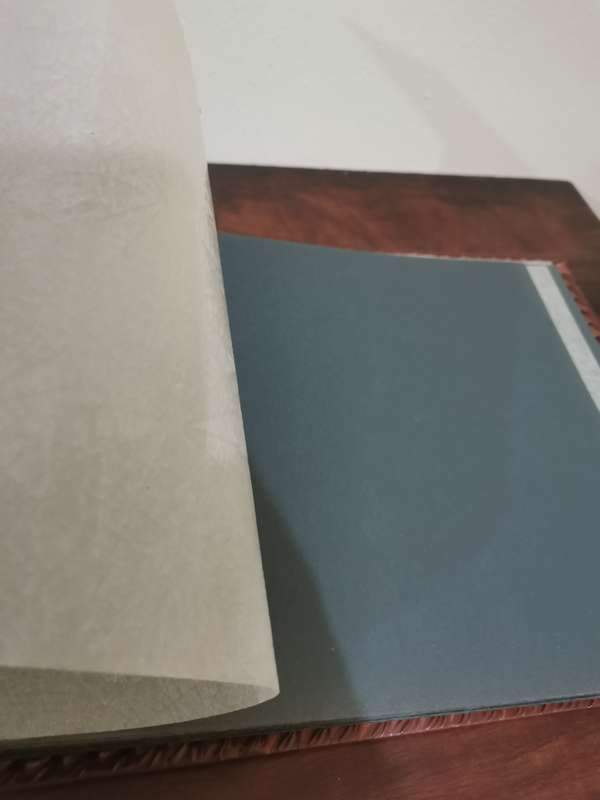 Rare Vintage Leather Album from Italy