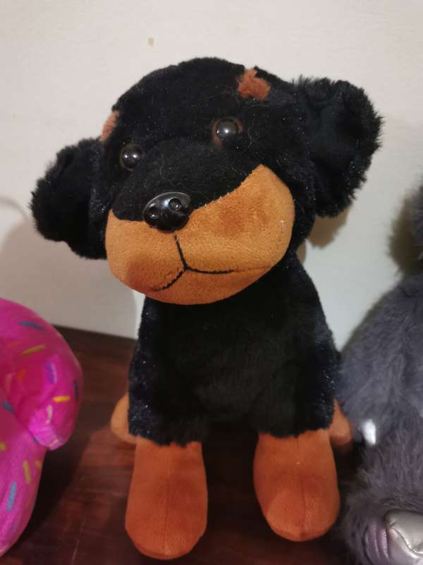 Selection of Adorable Soft Toys