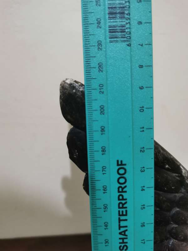 Eagle and Leopard Stone Carving Pair