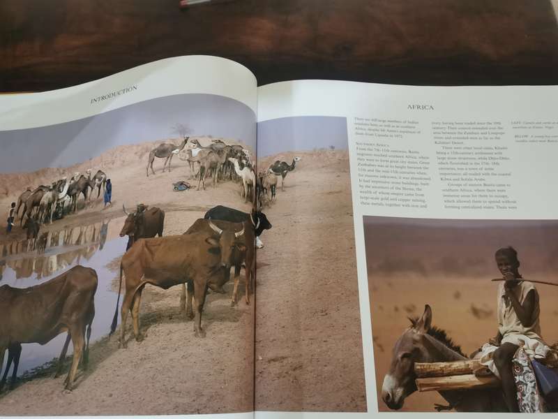 Africa by Annelise Hobbs - perfect condition