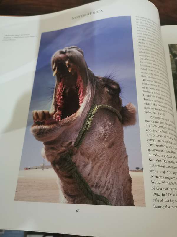 Africa by Annelise Hobbs - perfect condition